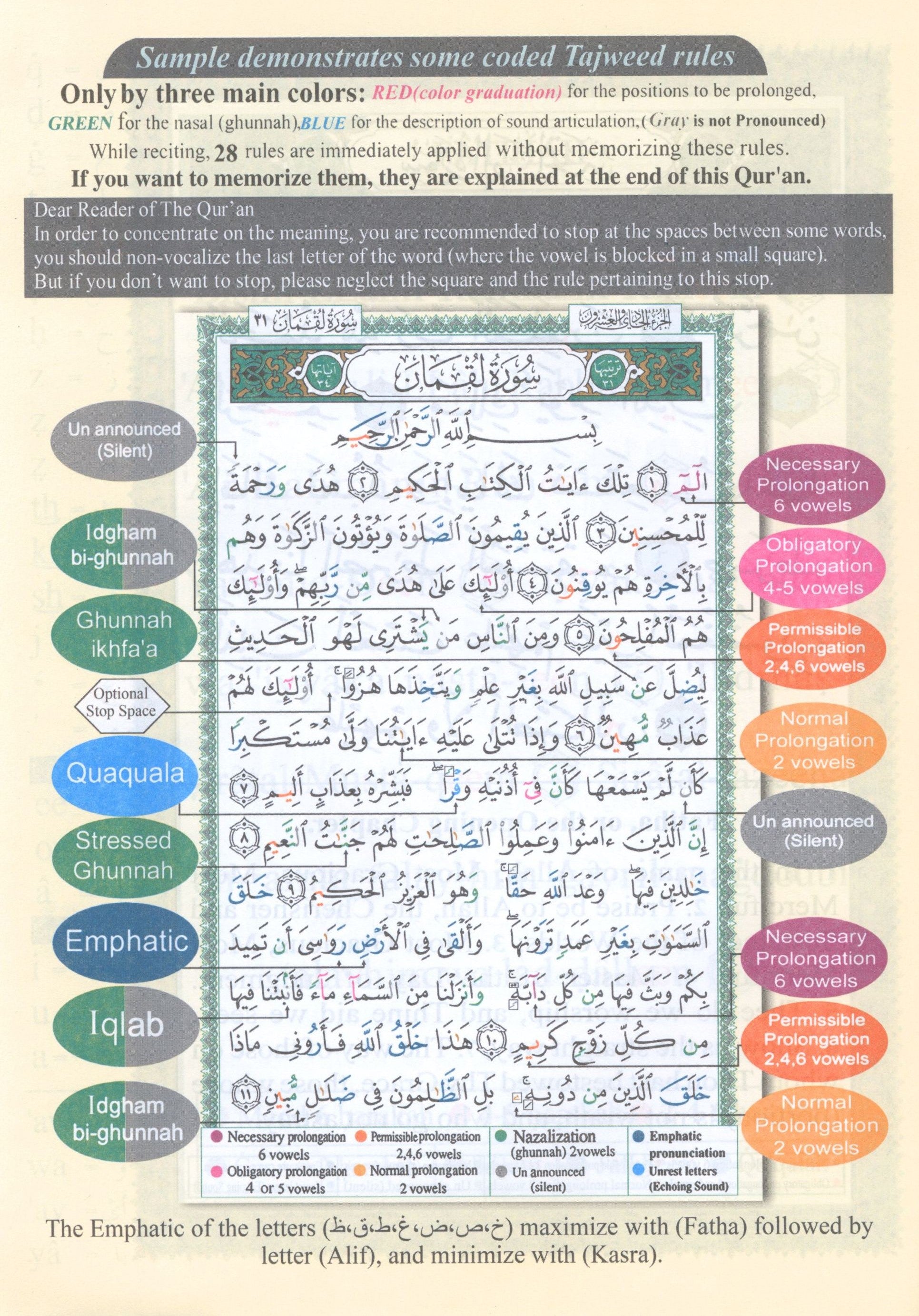 Tajweed Quran Juz' Tabarak Part 29 with Translation and Transliteration 7 x 9