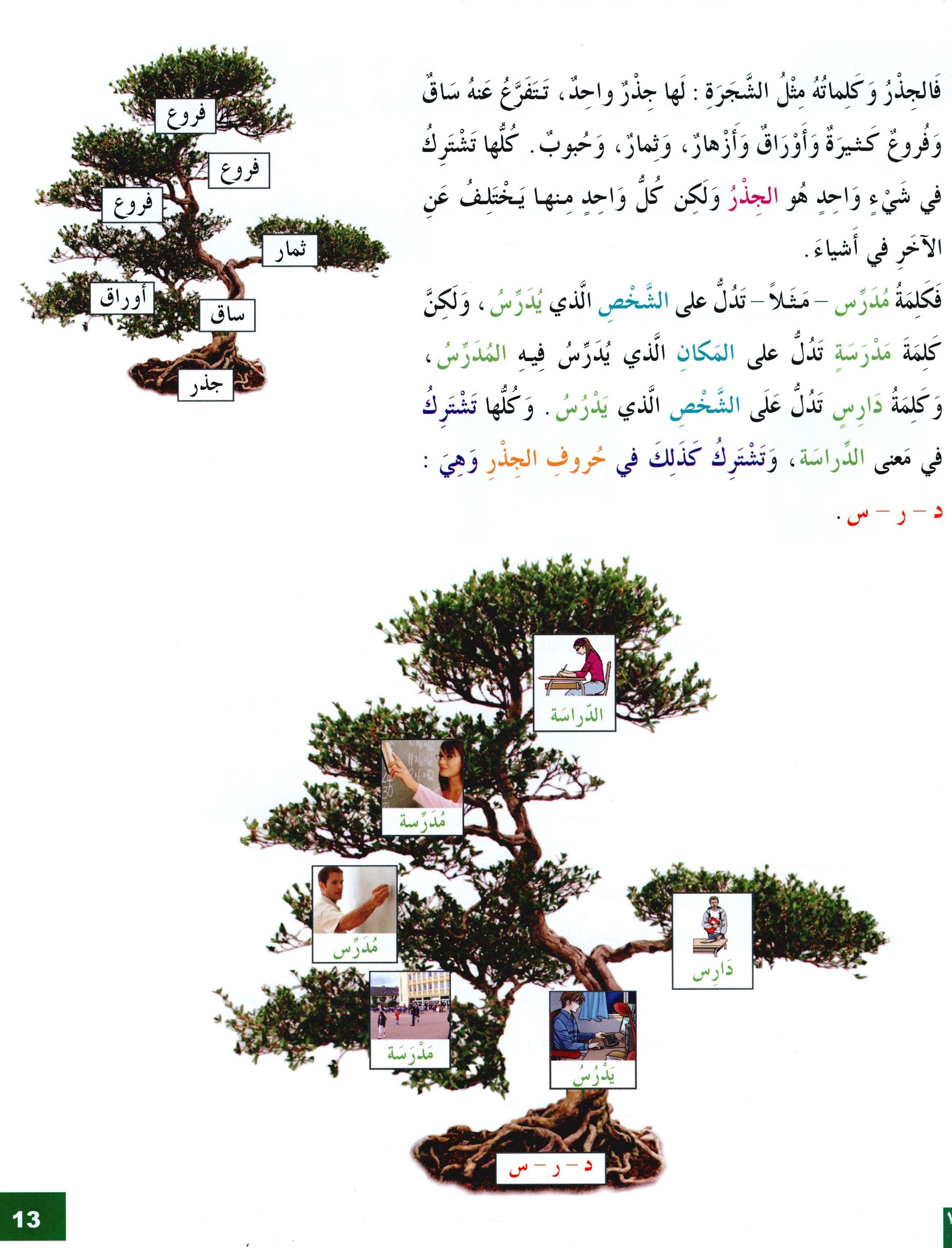 I Love The Arabic Language Textbook Level 7 أحب اللغة العربية وأتعلمها