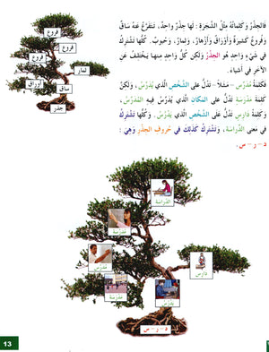 I Love The Arabic Language Textbook Level 7 أحب اللغة العربية وأتعلمها