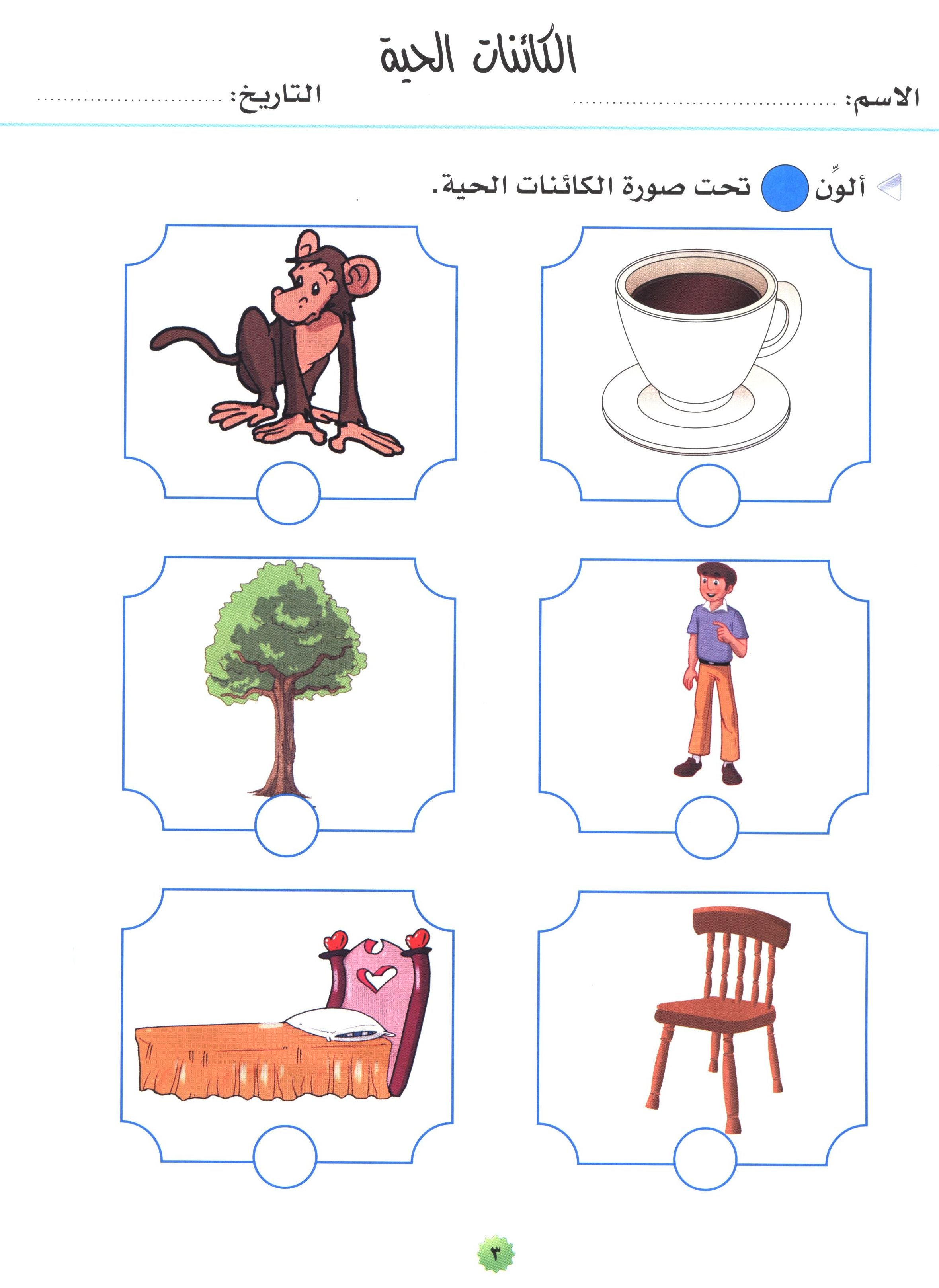 My Skills and Knowledge Worksheets Volume 2 مجموعة معلوماتي ومهاراتي