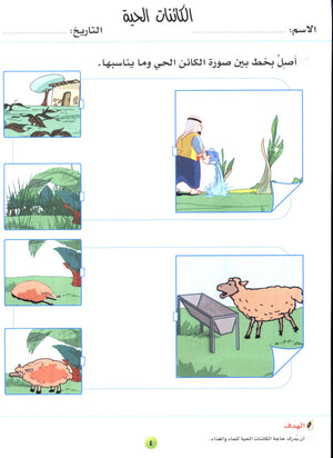 My Skills and Knowledge Worksheets Volume 2 مجموعة معلوماتي ومهاراتي