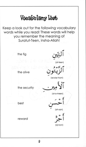 سورة التين - كتاب تفسير موجز