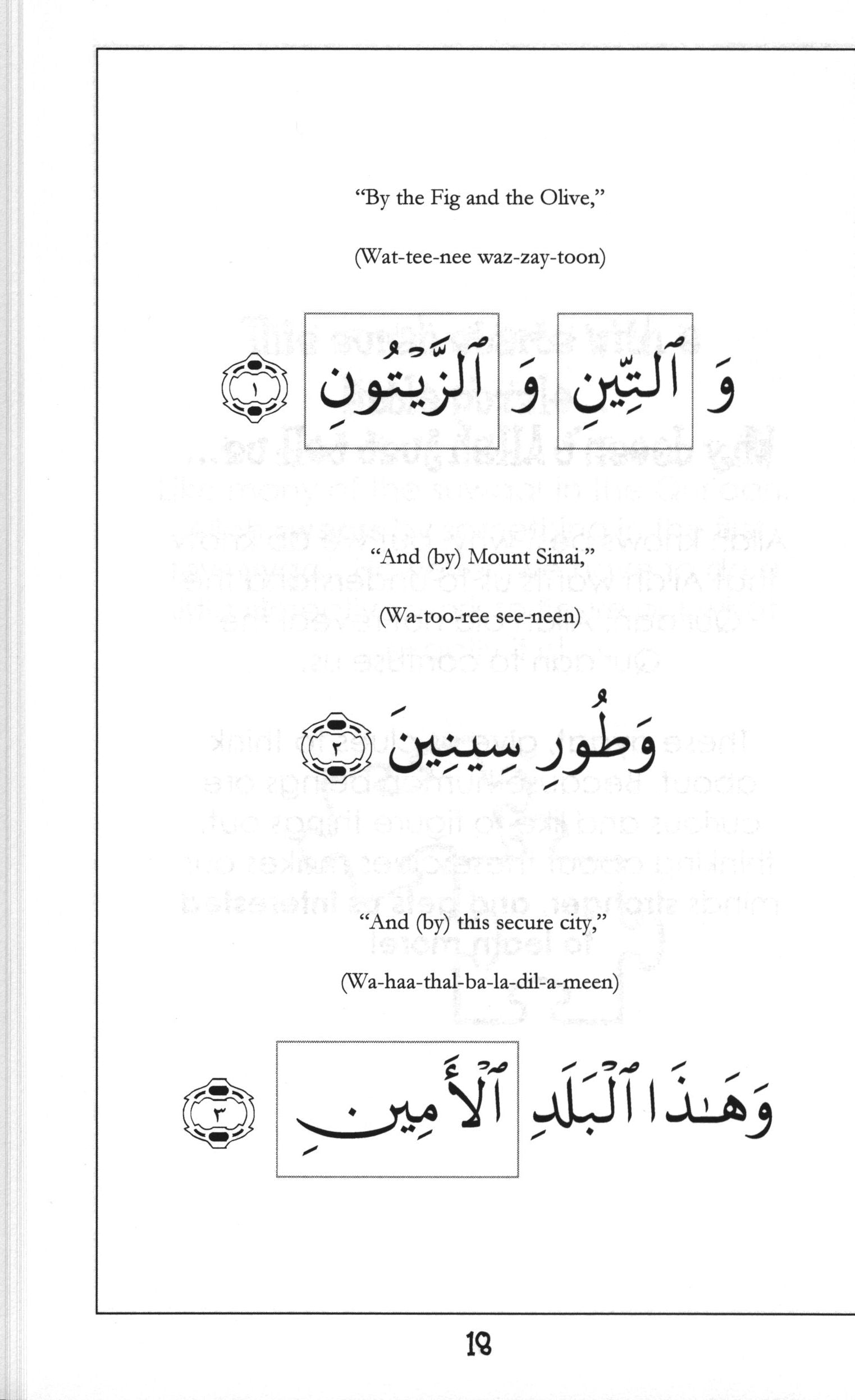 سورة التين - كتاب تفسير موجز
