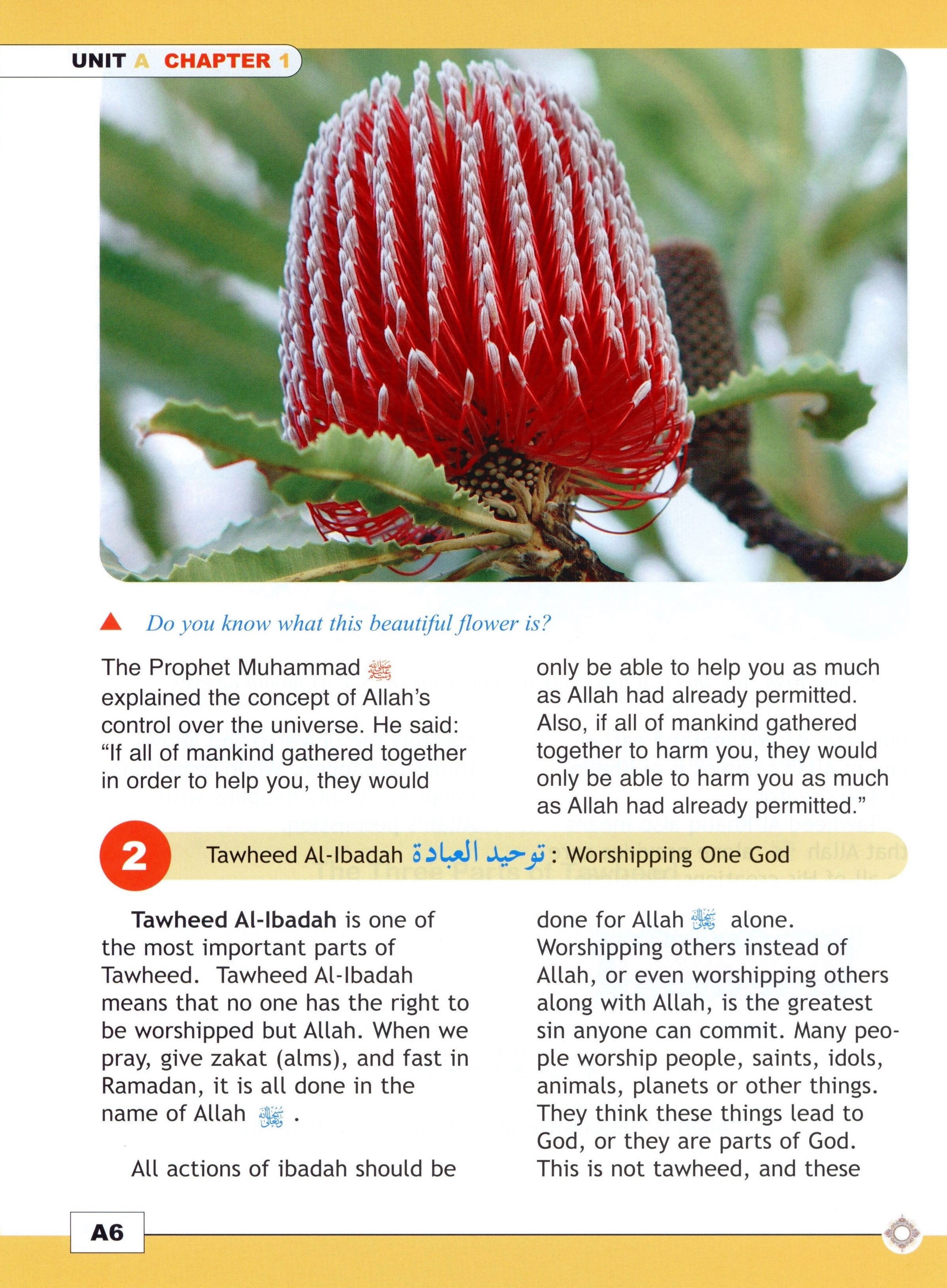 I Love Islam Textbook Level 5