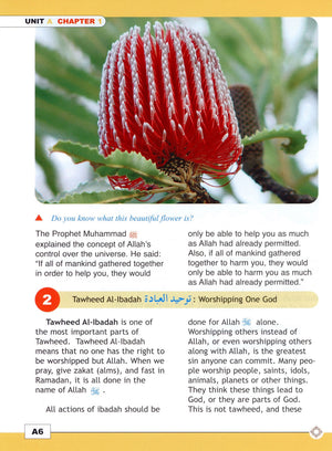 I Love Islam Textbook Level 5