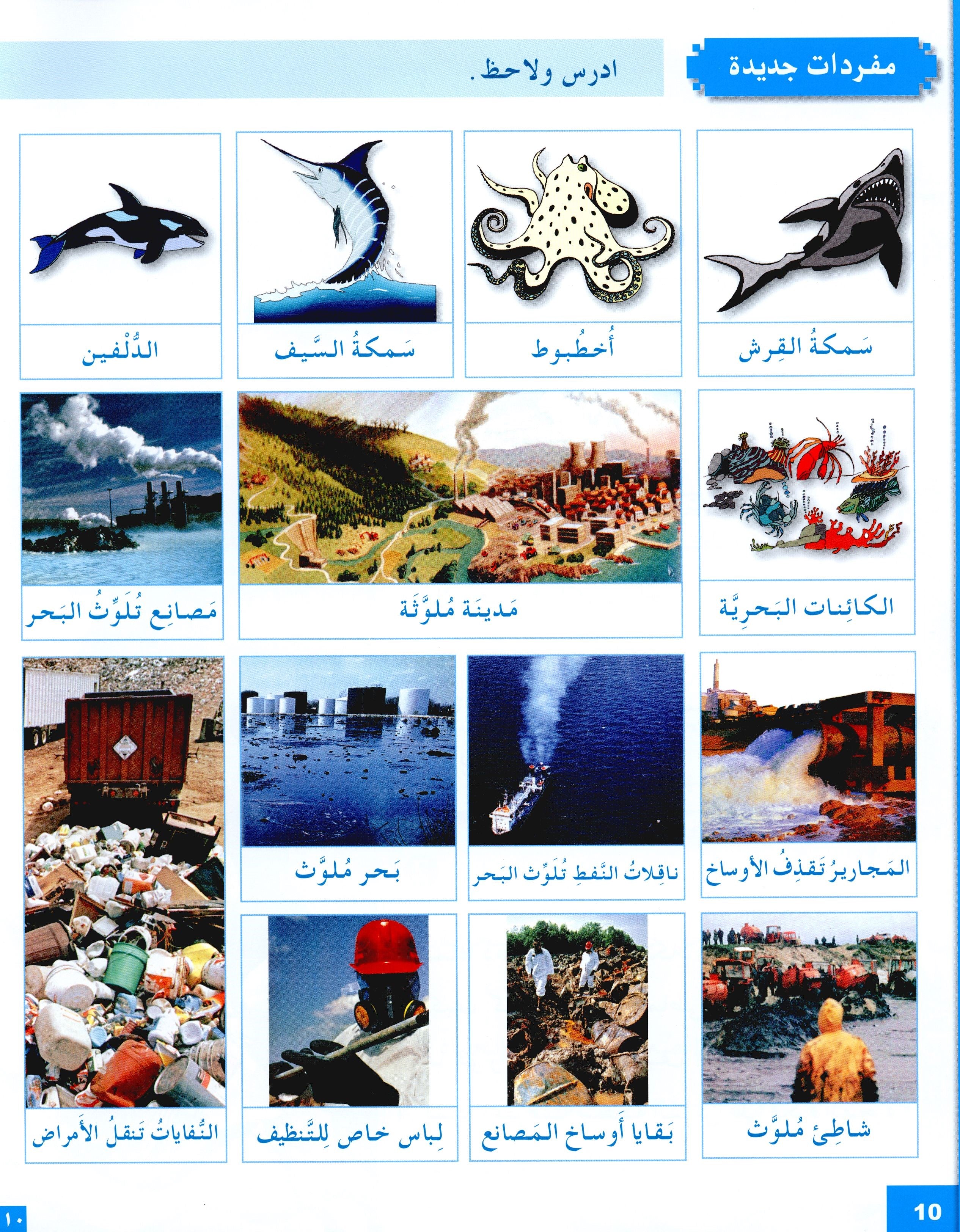 I Love The Arabic Language Textbook Level 6 (Old Edition) أحب اللغة العربية وأتعلمها