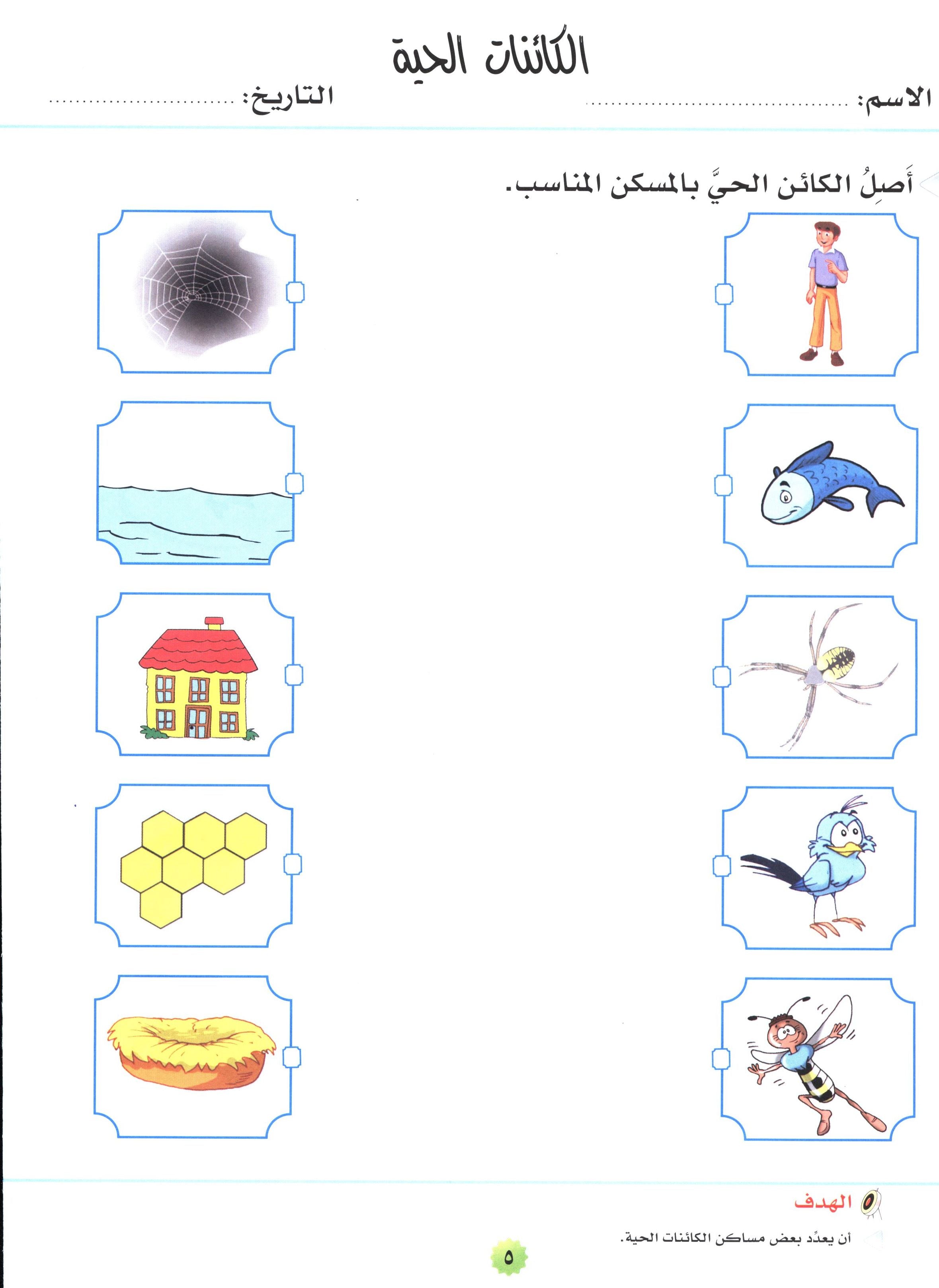 My Skills and Knowledge Worksheets Volume 2 مجموعة معلوماتي ومهاراتي