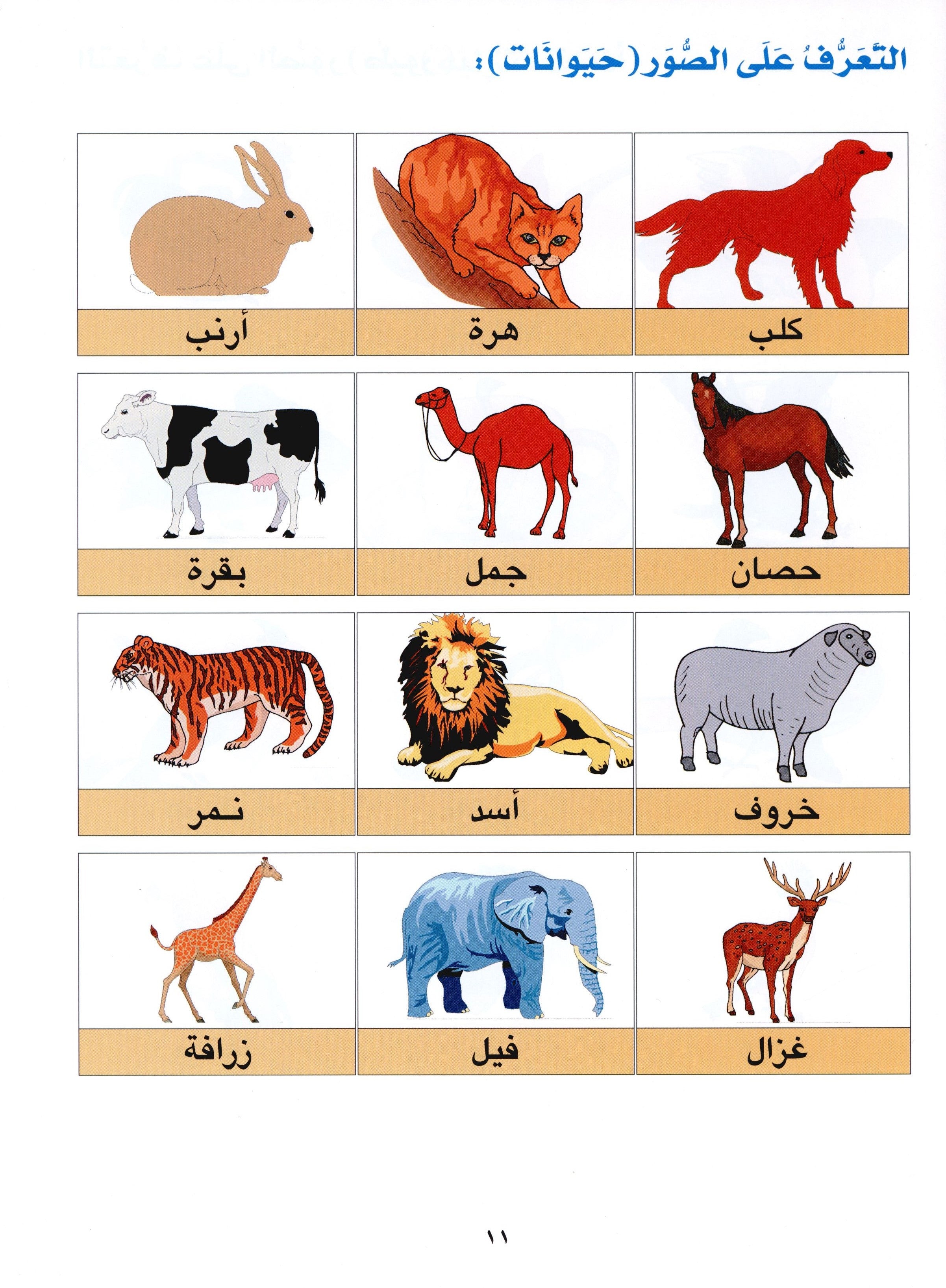 Horizons in the Arabic Language Textbook Level 1 الآفاق في اللغة العربية كتاب الطالب