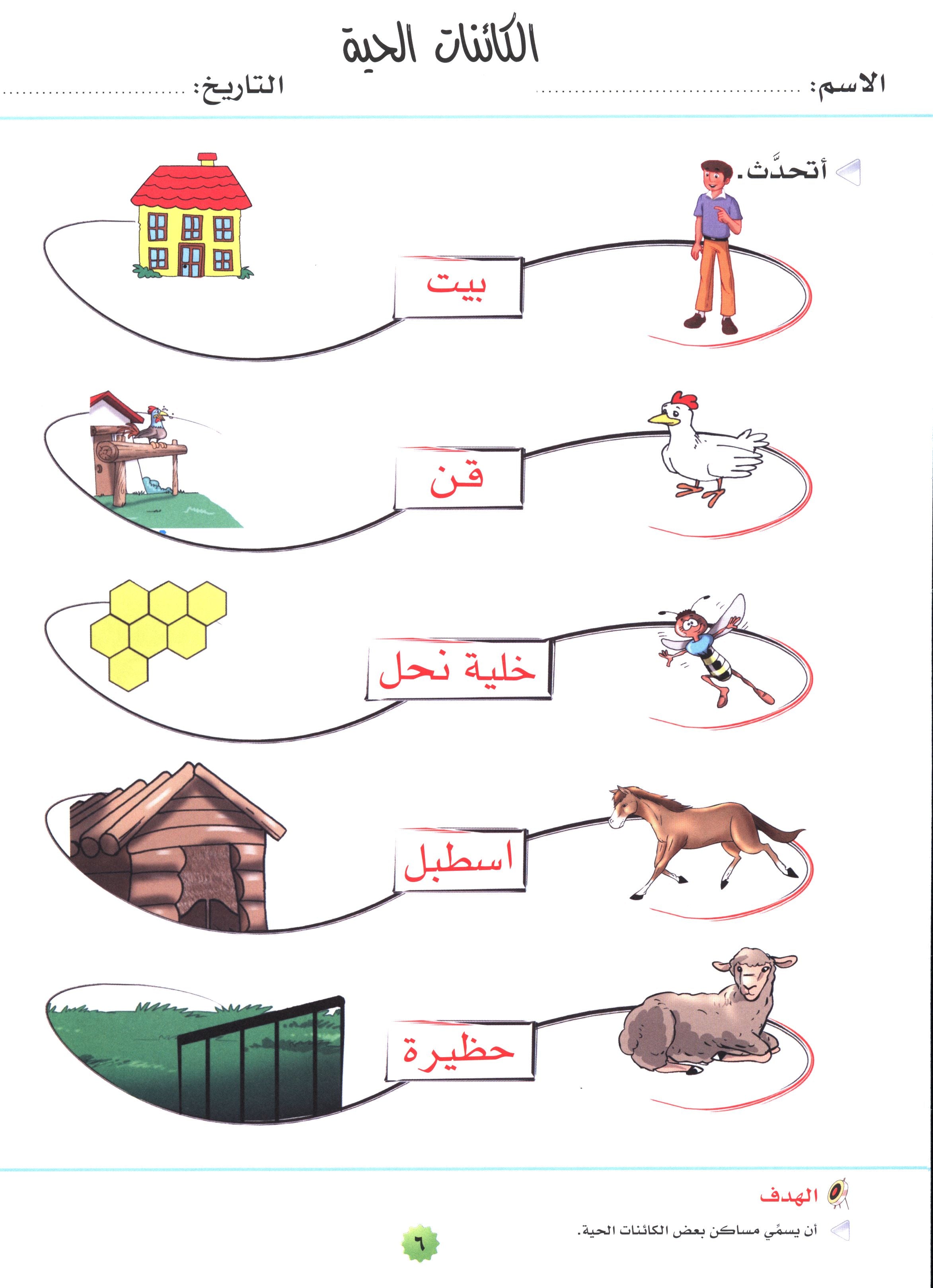 My Skills and Knowledge Worksheets Volume 2 مجموعة معلوماتي ومهاراتي