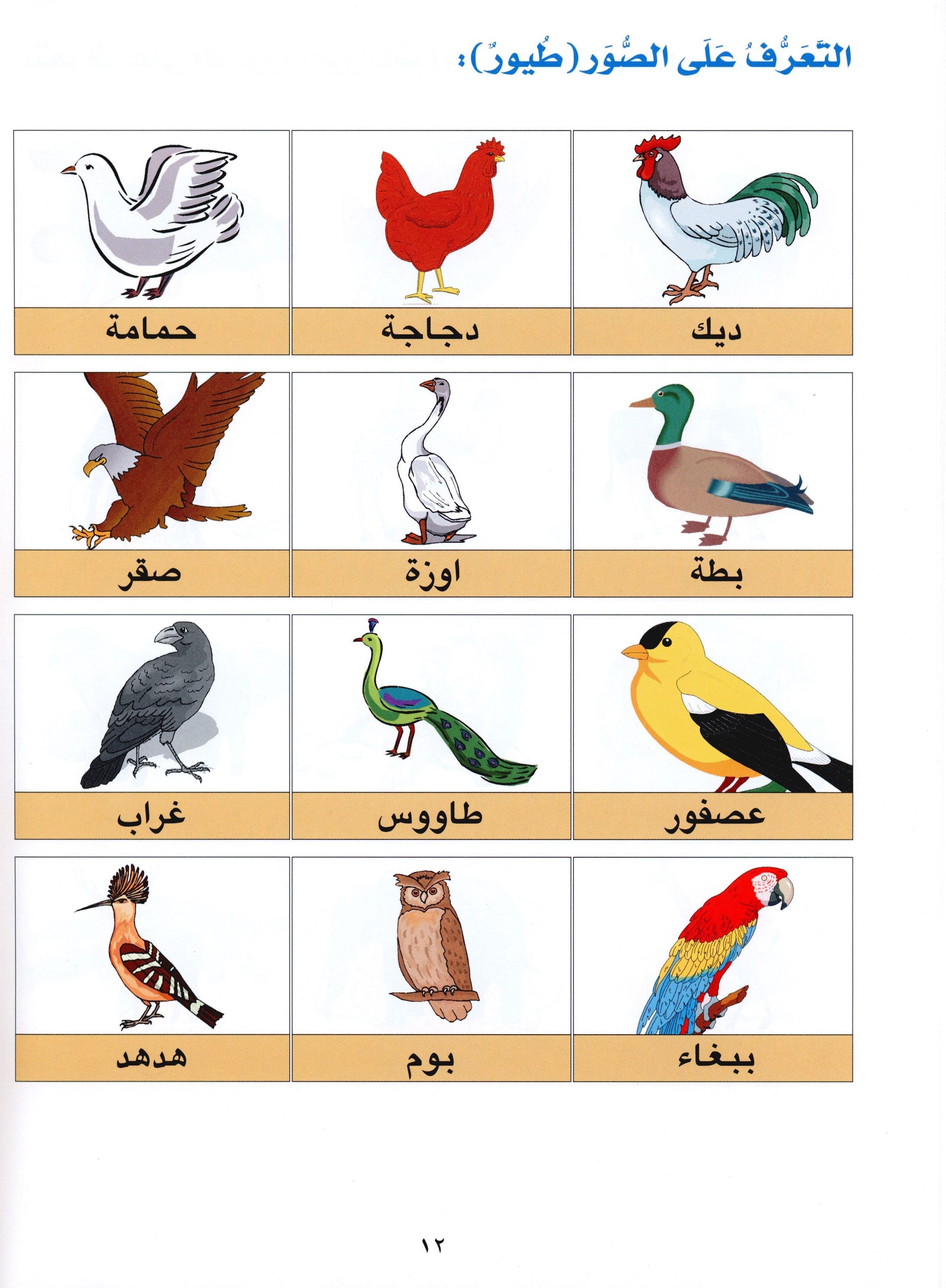Horizons in the Arabic Language Textbook Level 1 الآفاق في اللغة العربية كتاب الطالب