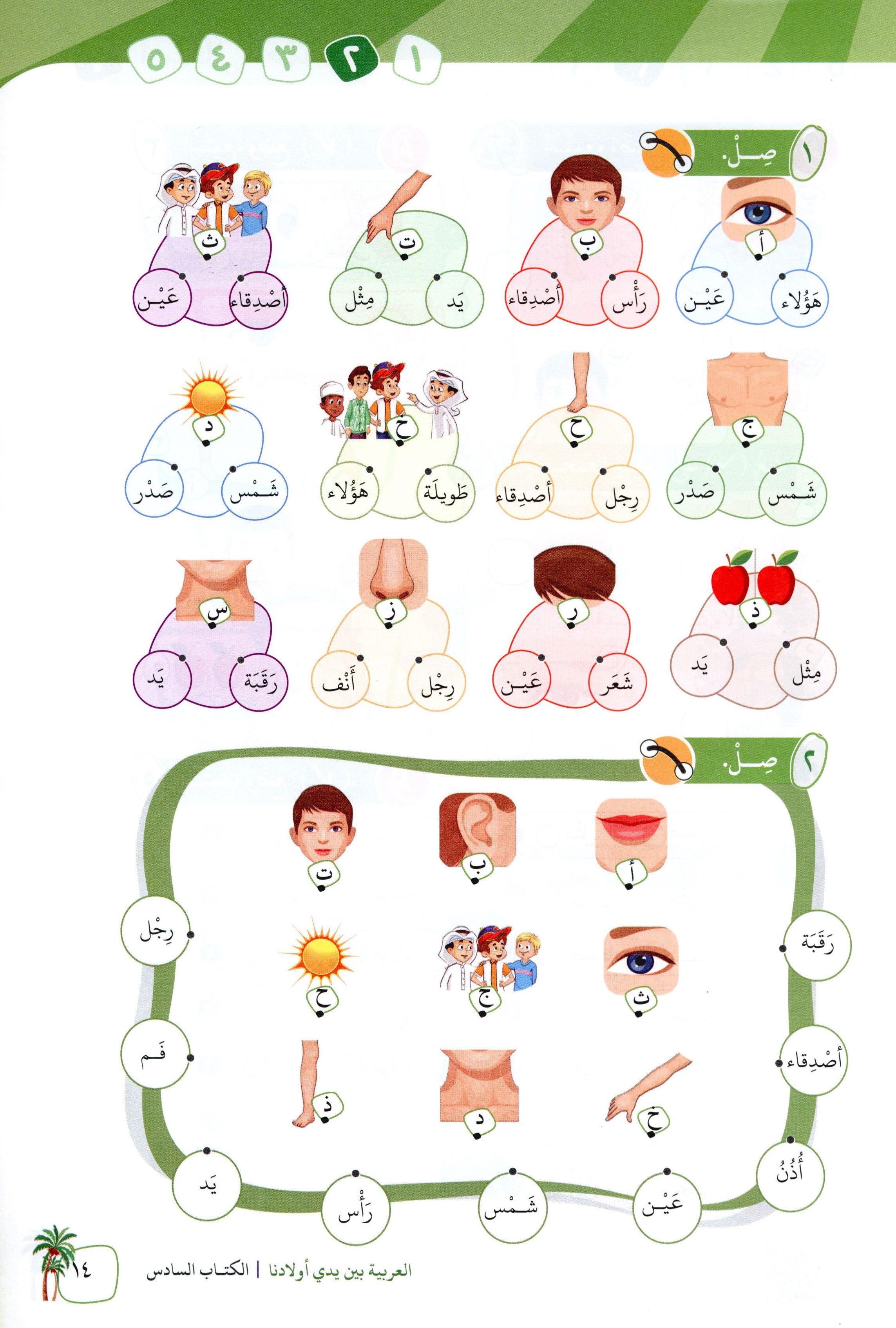 Arabic Between Our Children's Hands Level 6 العربية بين يدي أولادنا