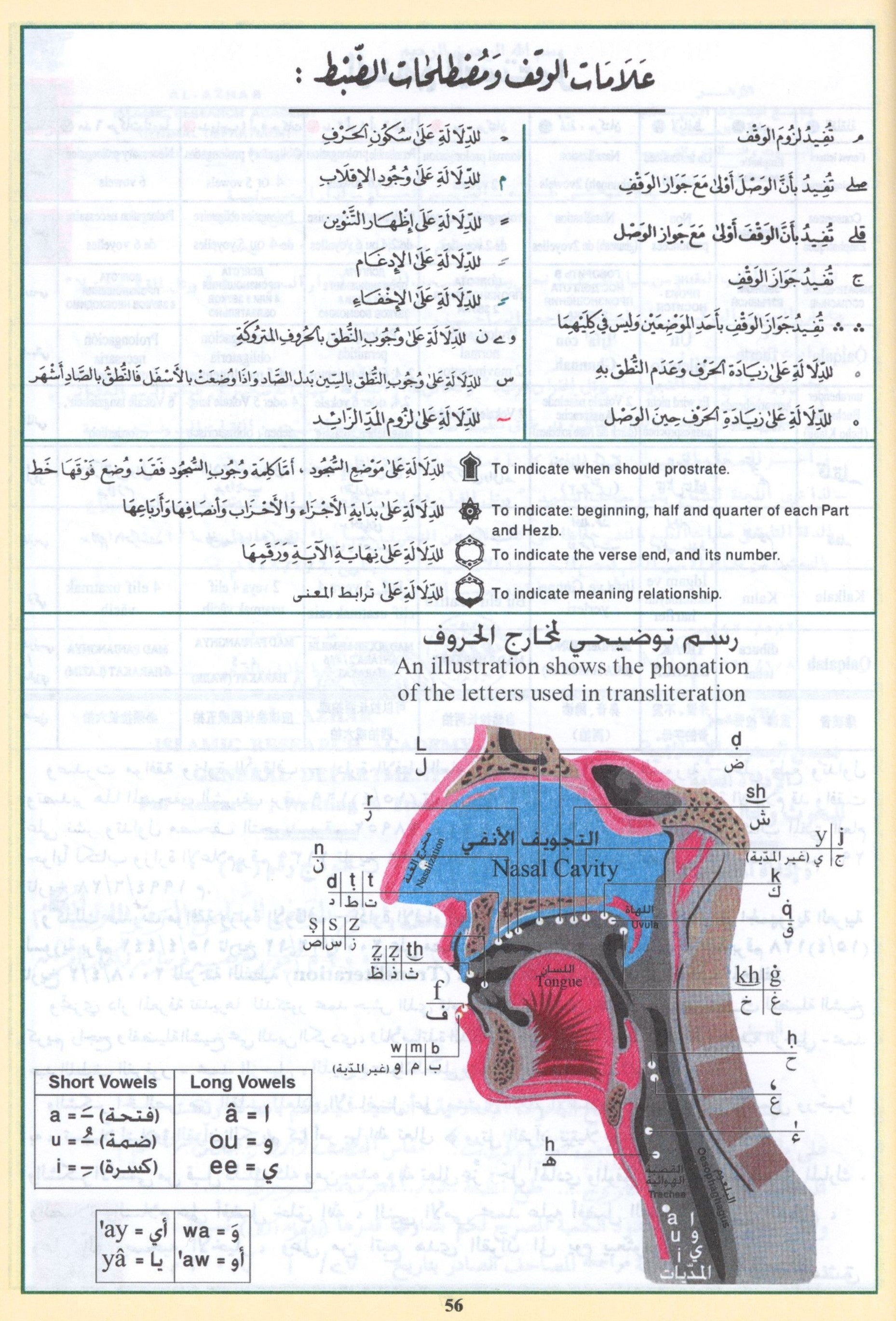Tajweed Quran with English Translation 7 x 9