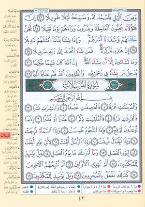 Tajweed Quran Juz' Qad Same'a, Tabarak and Amma - 3 in 1 Size 7