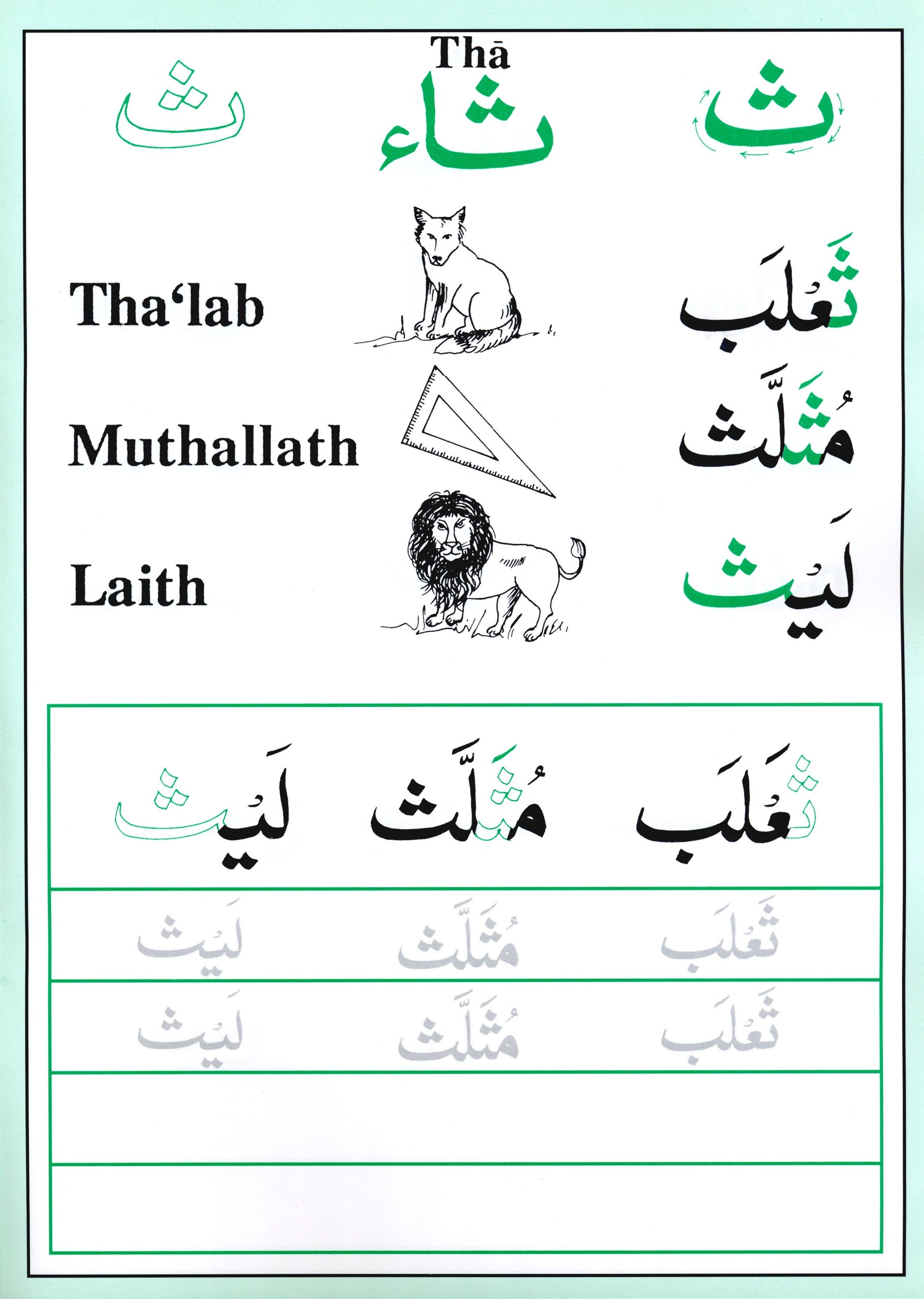 Shape and Forms of Arabic Letters أشكال الحروف العربية
