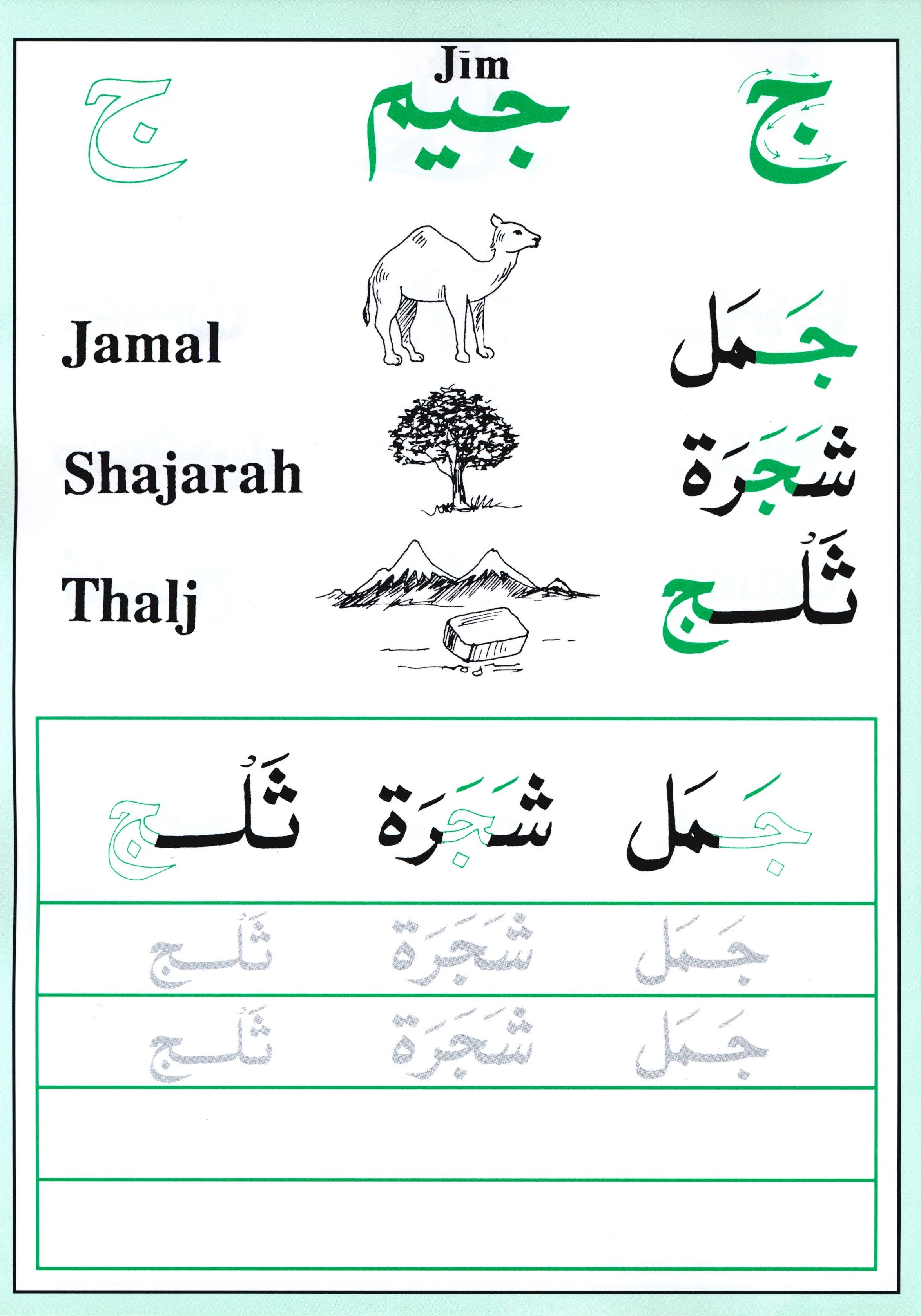 Shape and Forms of Arabic Letters أشكال الحروف العربية