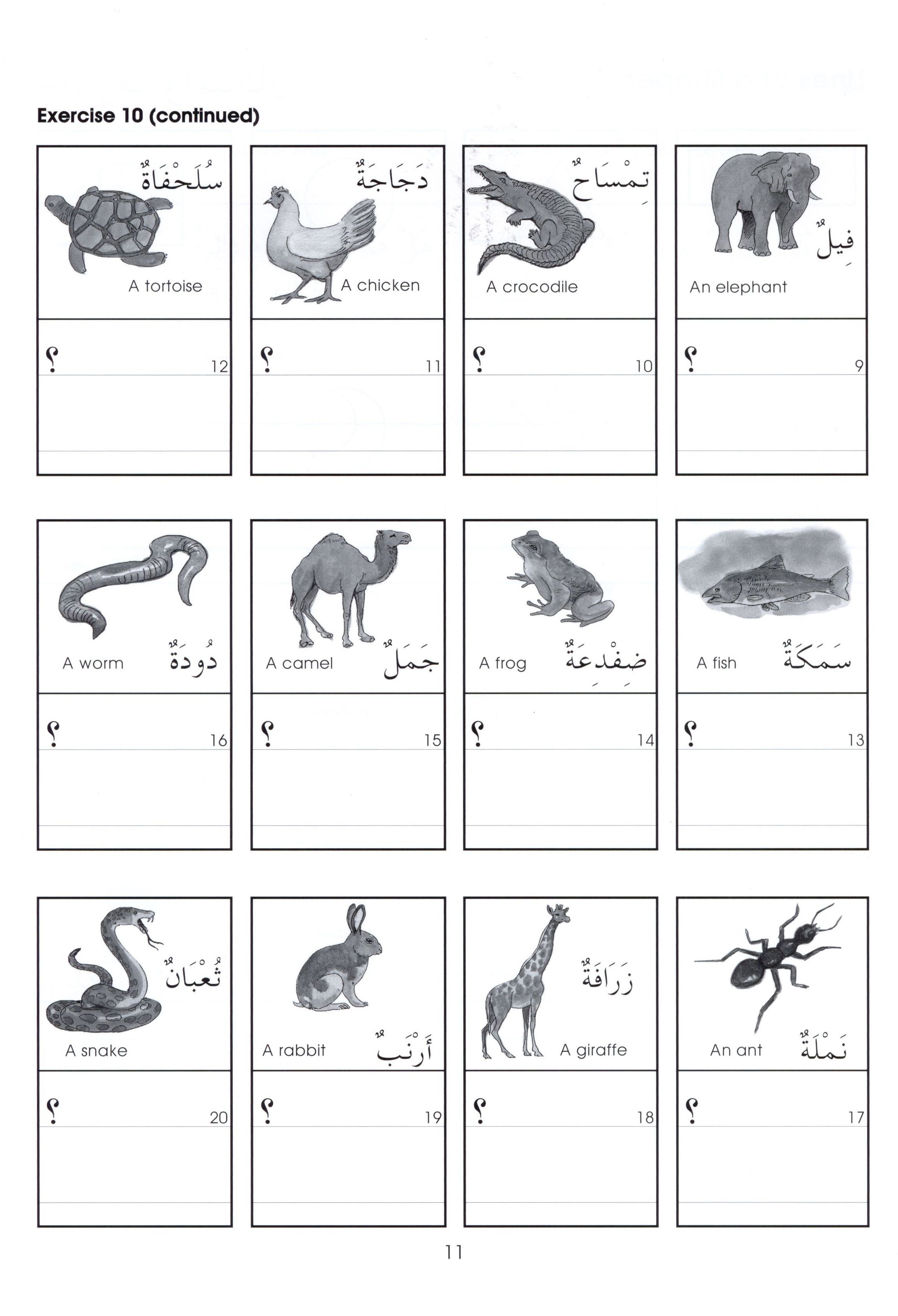 Gateway to Arabic Book 2 مفتاح العربية