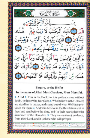 Tajweed Quran with English Translation 7 x 9