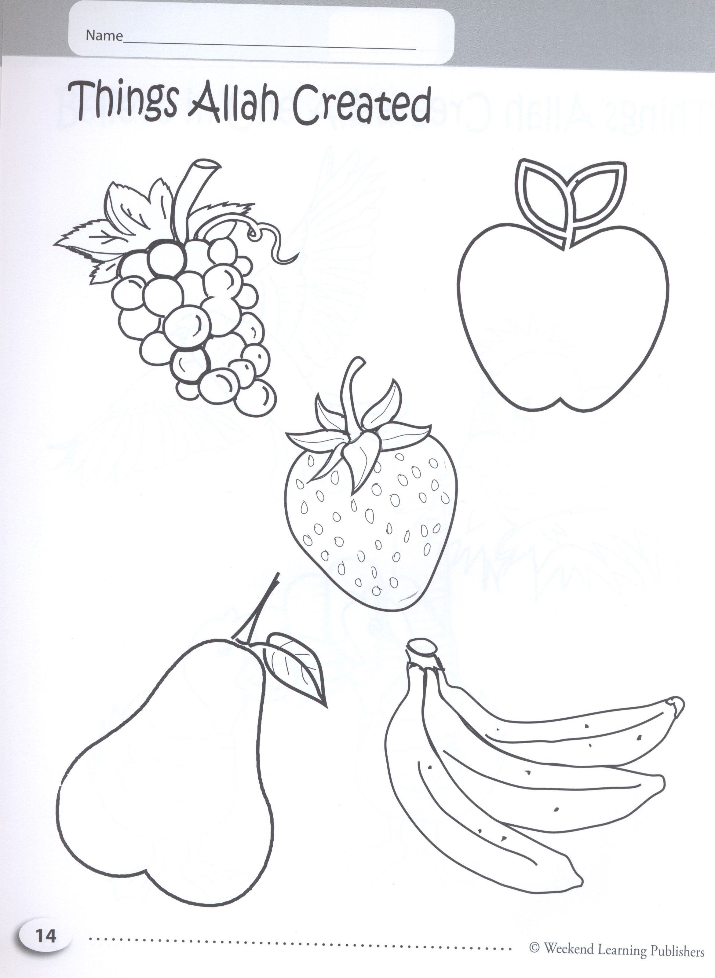 My Islamic Coloring Book