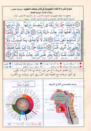 Tajweed Quran Juz' Tabarak Part 29 (7