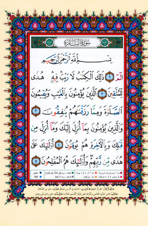 Tajweed Quran without Case 7