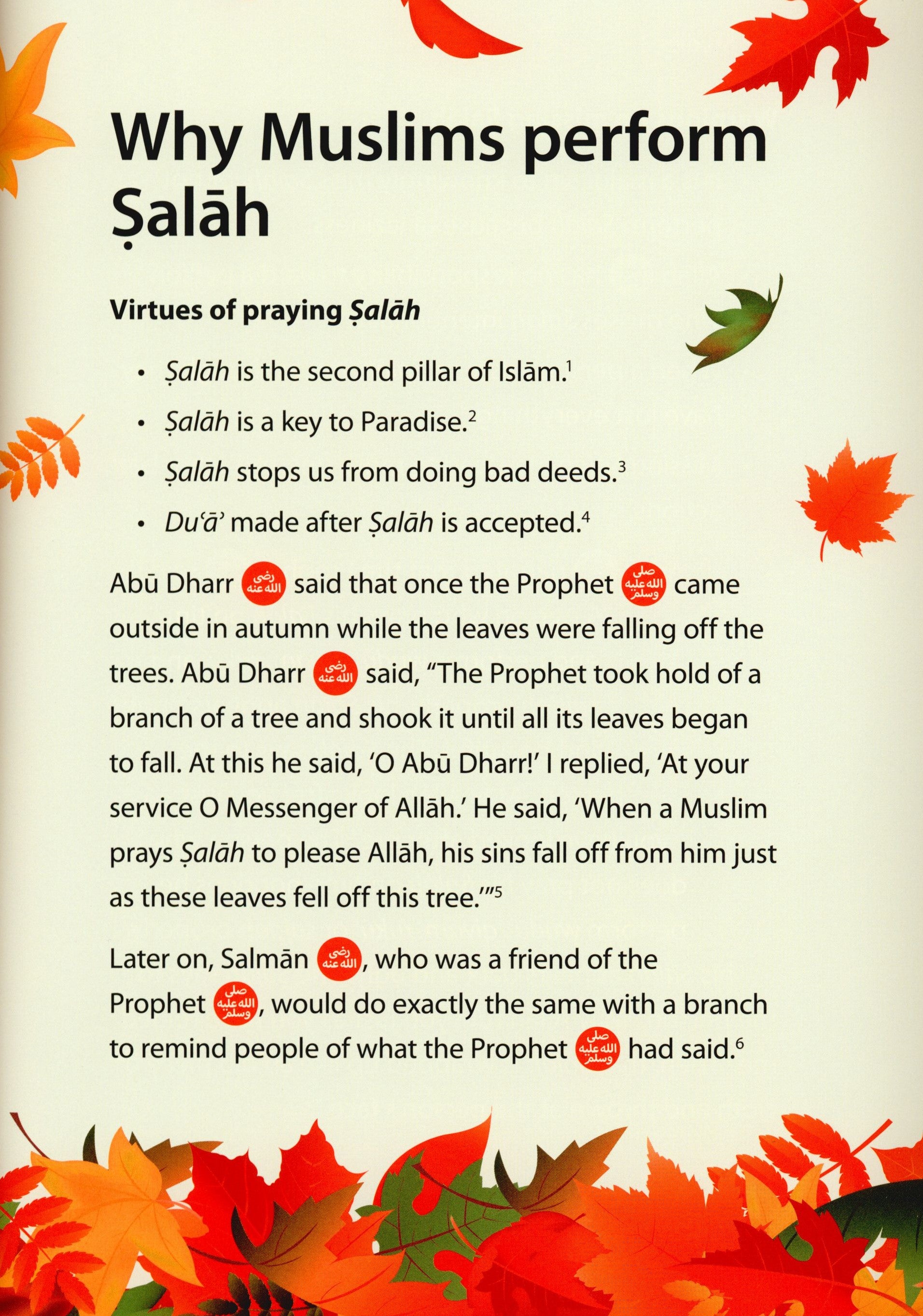 Safar Islamic Studies Textbook 3