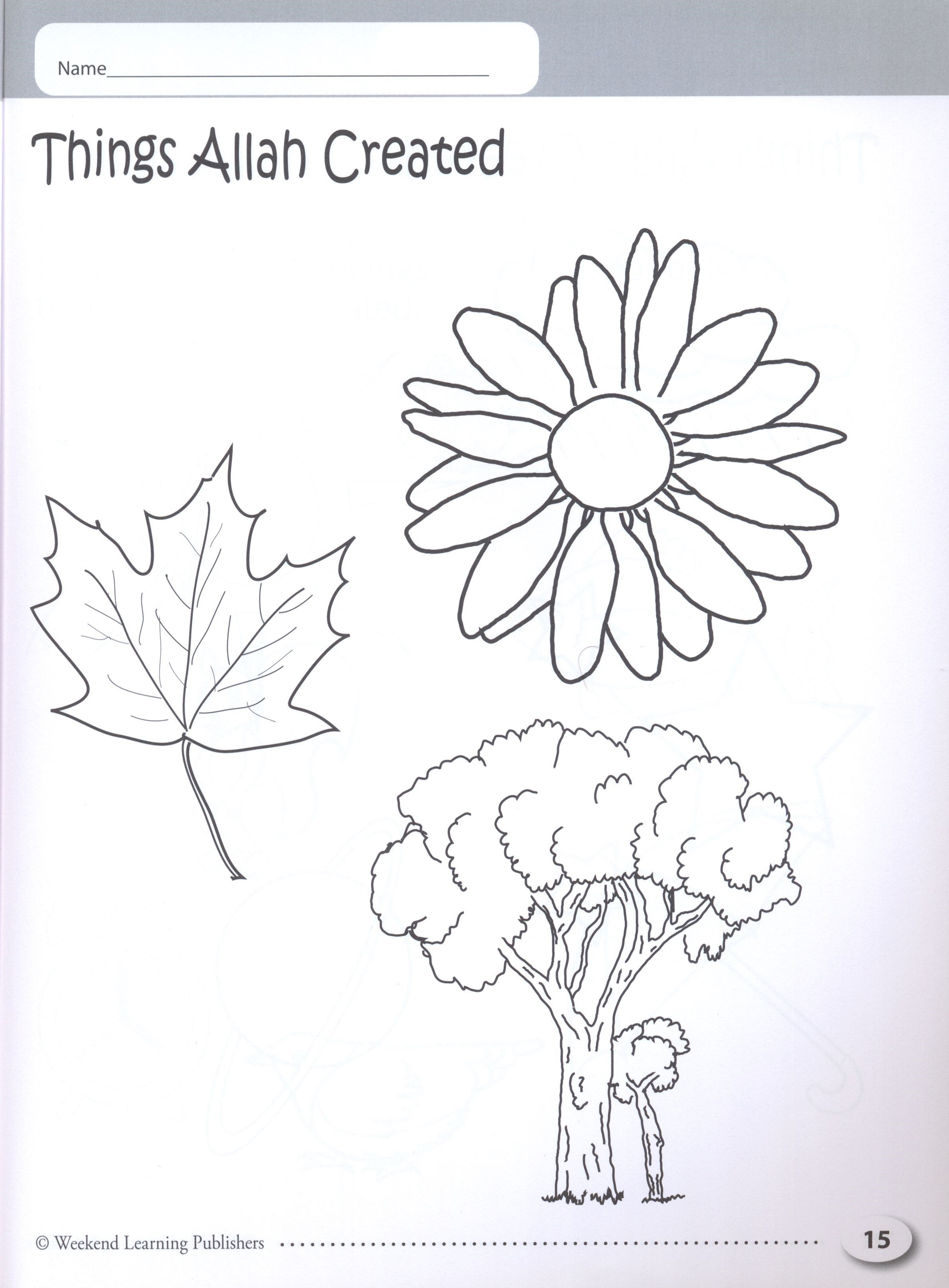 My Islamic Coloring Book