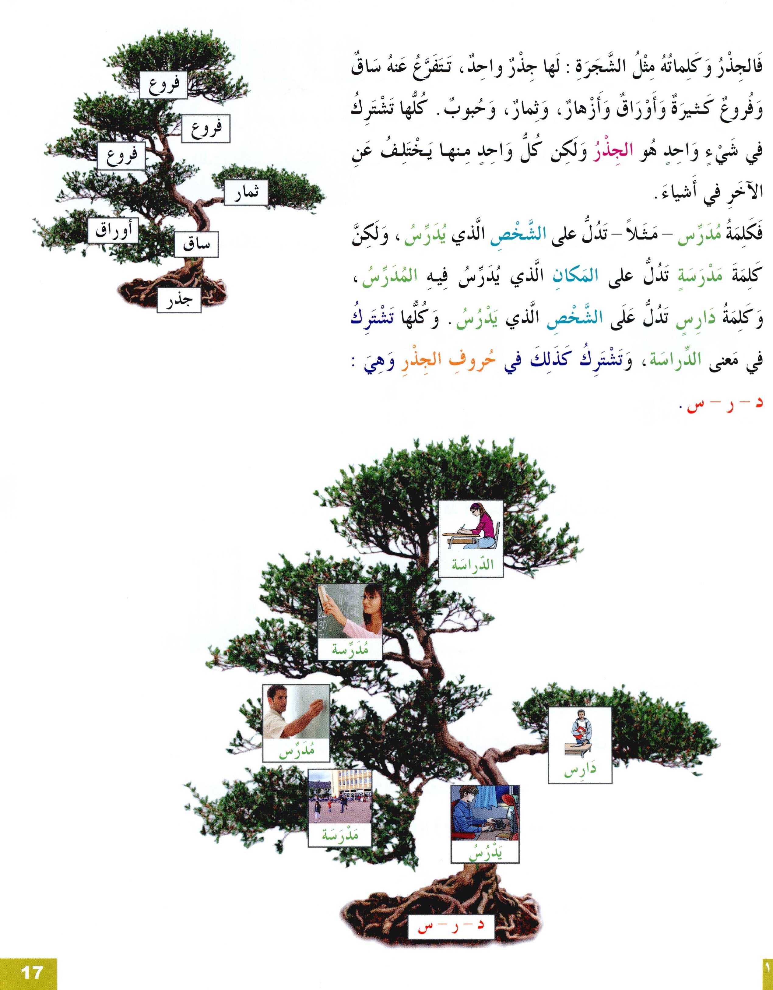 Arabic for Youth Textbook Level 3 العربية للشباب كتاب التلميذ