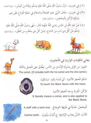 Madinah Arabic Reader Book 7