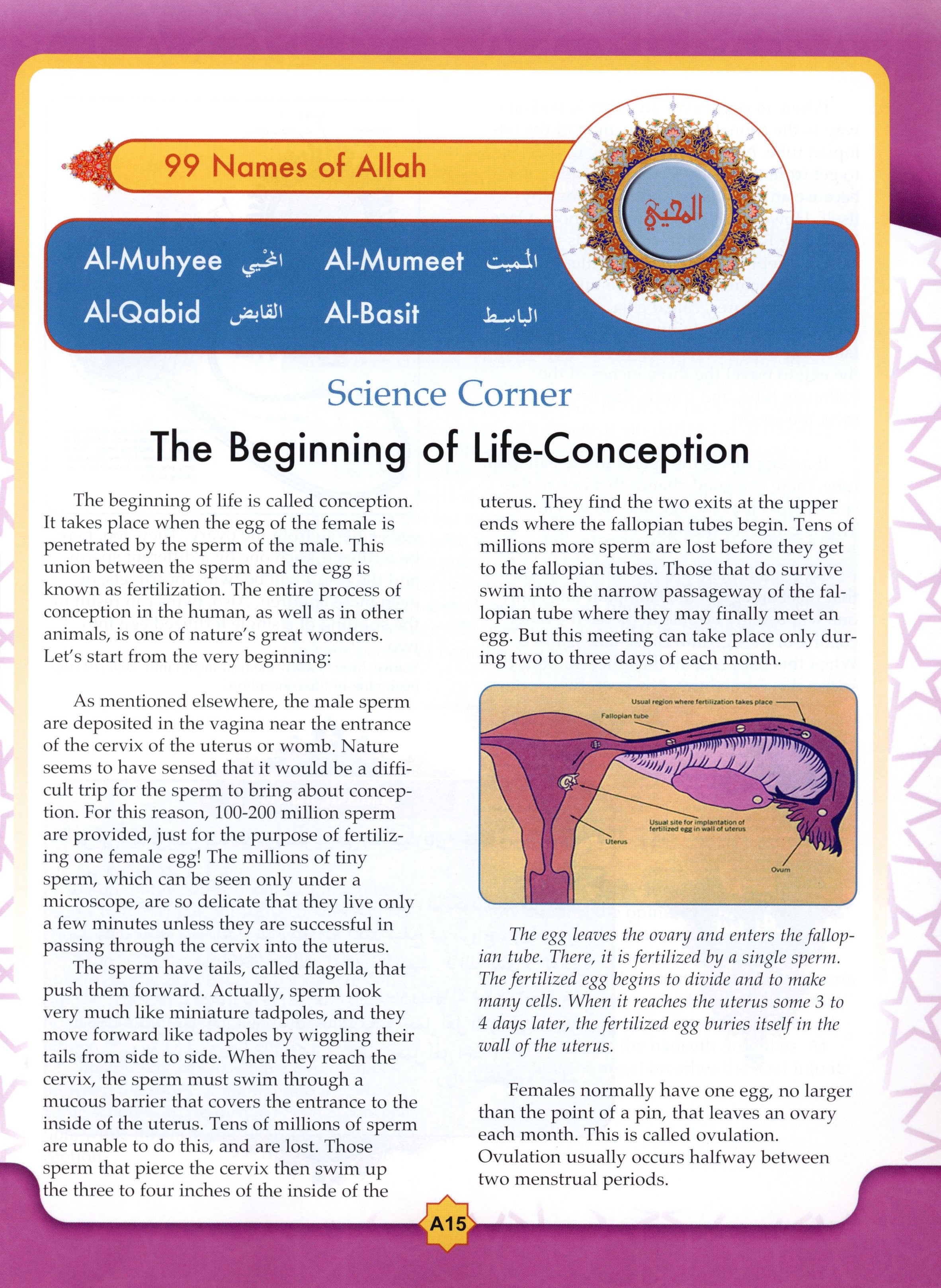 Learning Islam Textbook Level 3 (8th Grade)