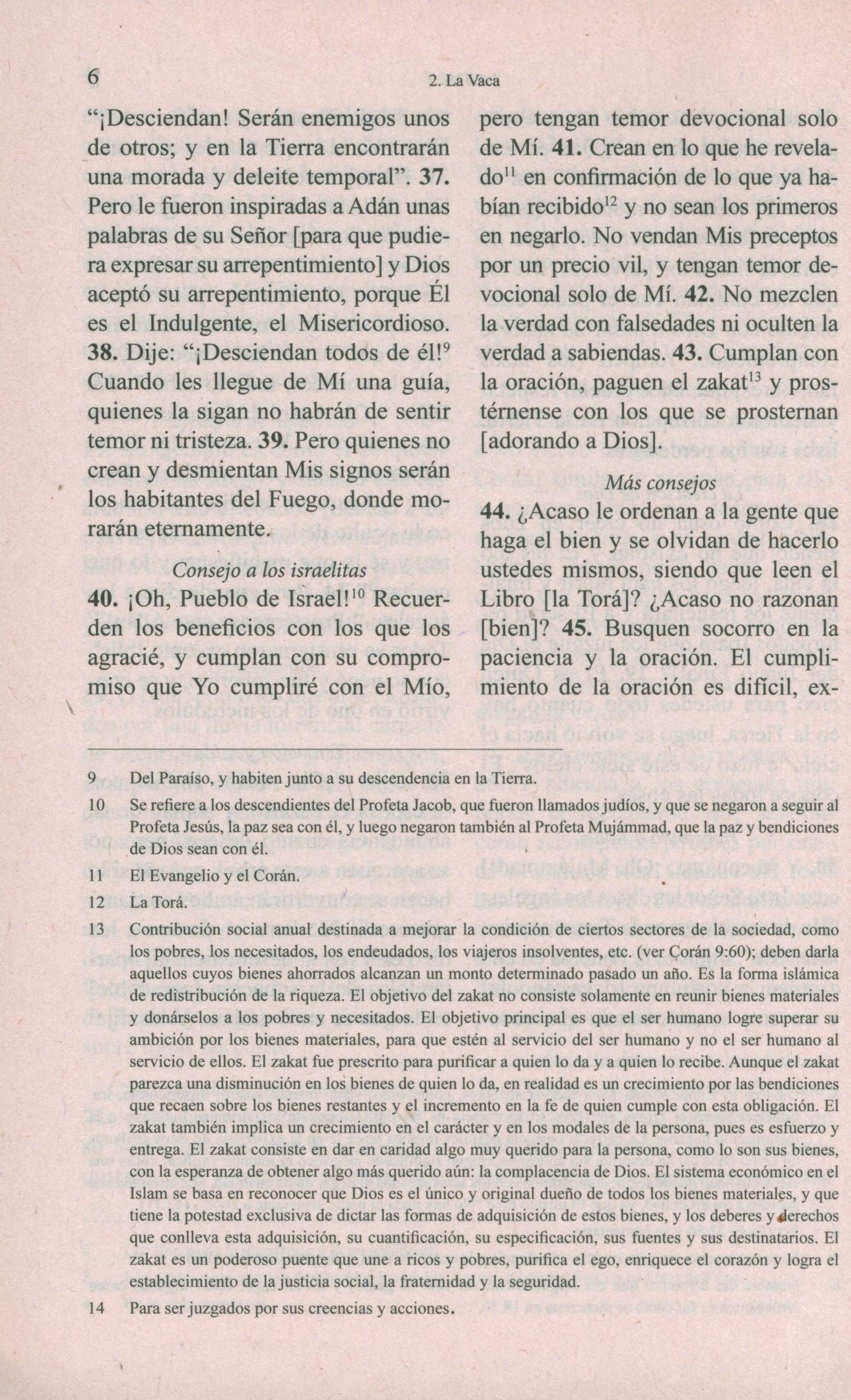 El Corán Esclarecedor - The Clear Quran in Spanish - Paperback