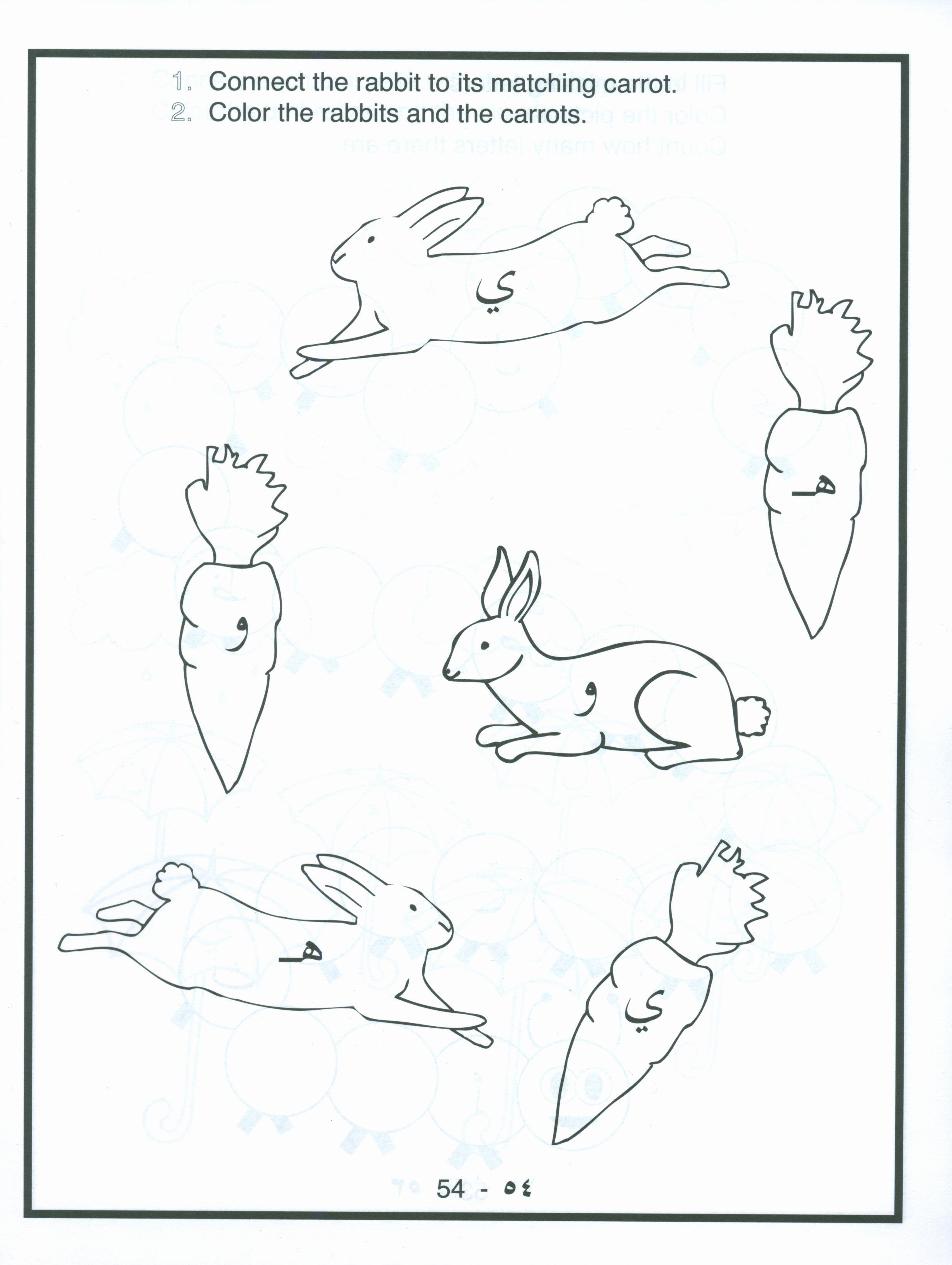 Arabic Letters Activity Book