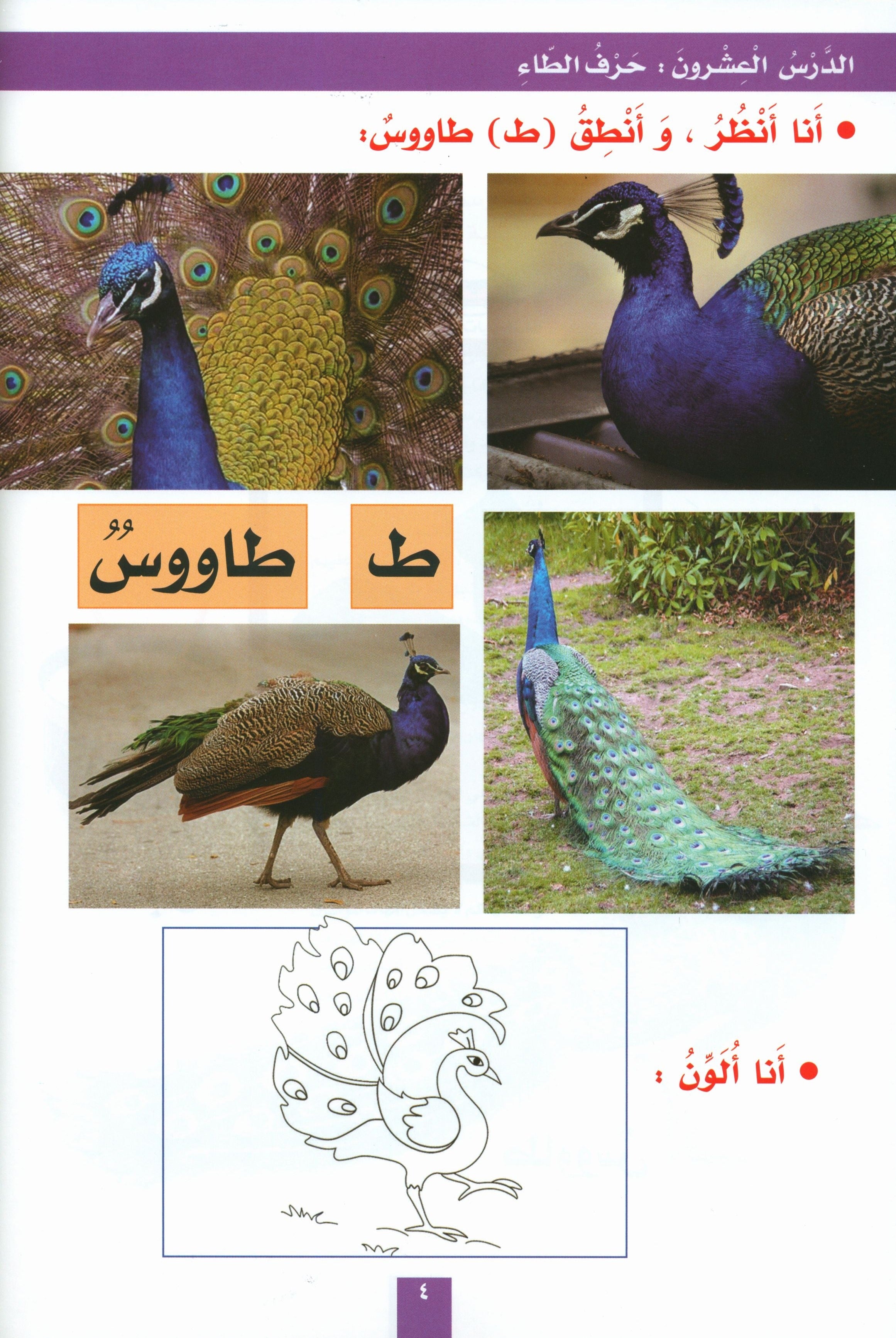 My Fun Letters Part 2 حروفي الممتعة
