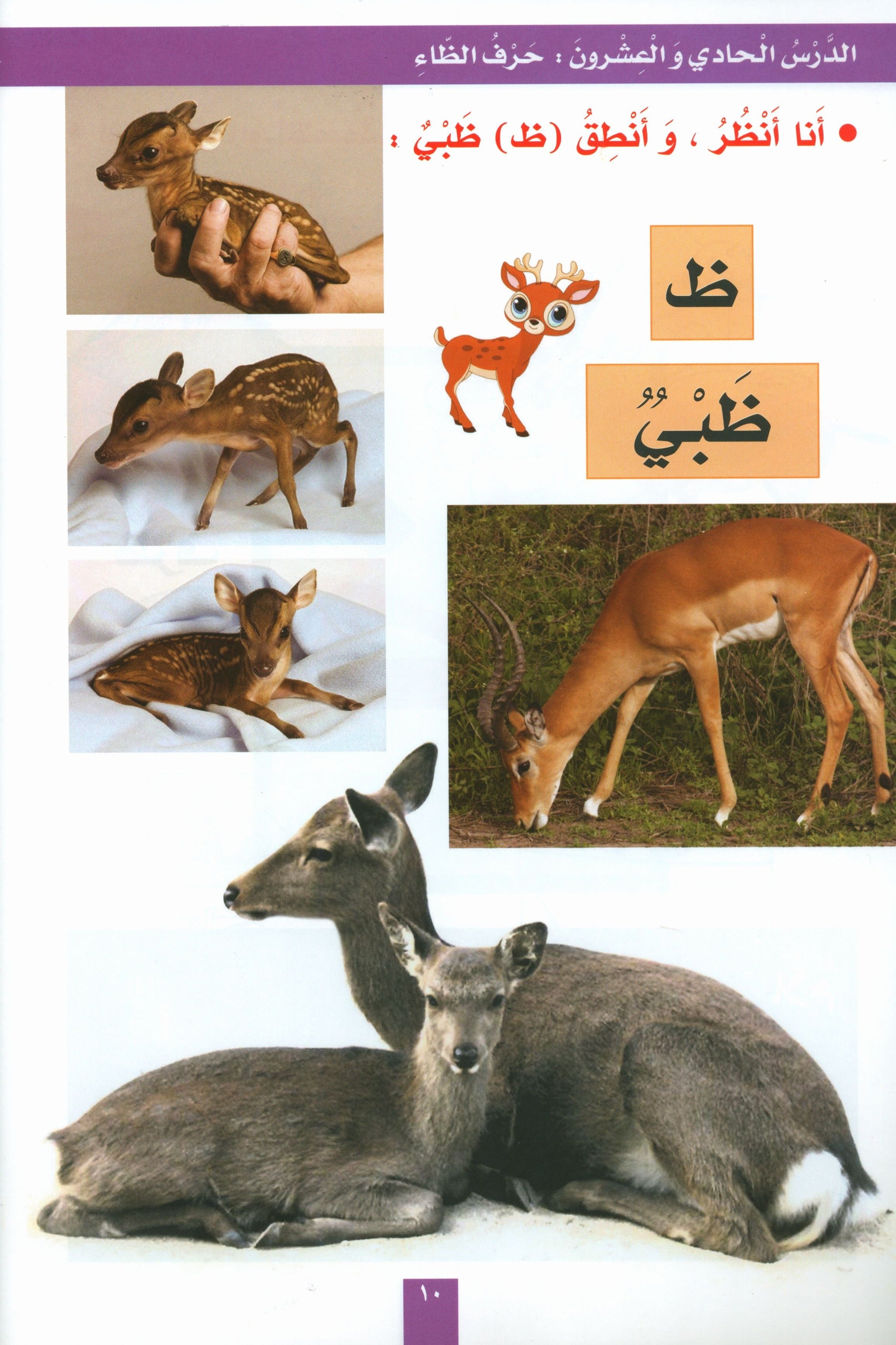 My Fun Letters Part 2 حروفي الممتعة