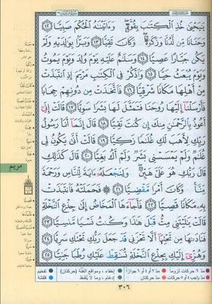 Tajweed Quran in 4 Parts 7 x 9