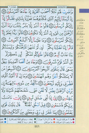 Tajweed Quran in 4 Parts 7 x 9