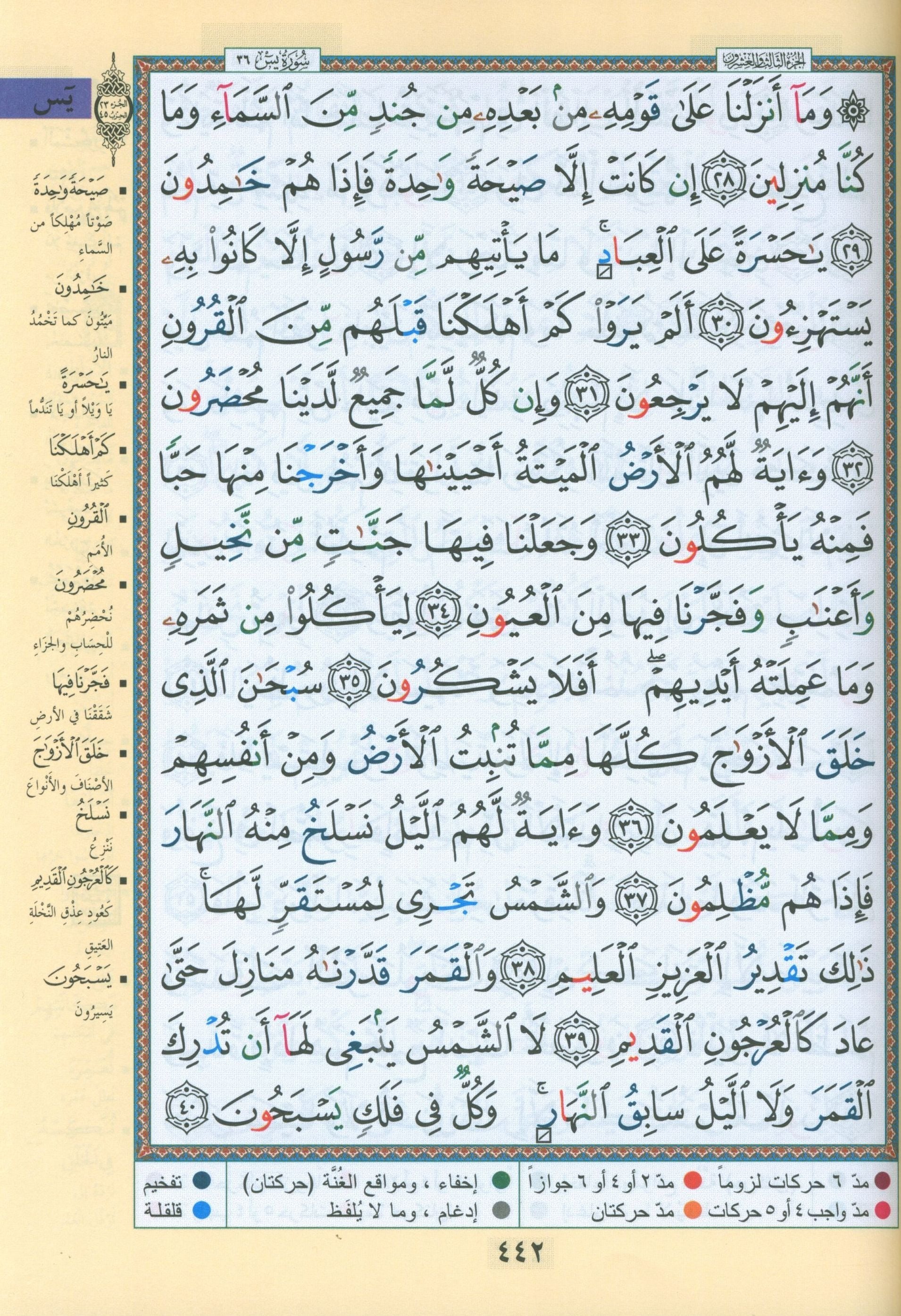 Tajweed Quran in 4 Parts 7 x 9