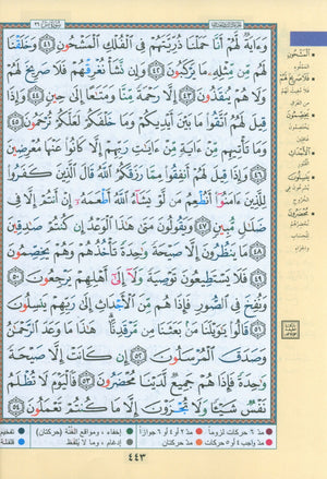 Tajweed Quran in 4 Parts 7 x 9