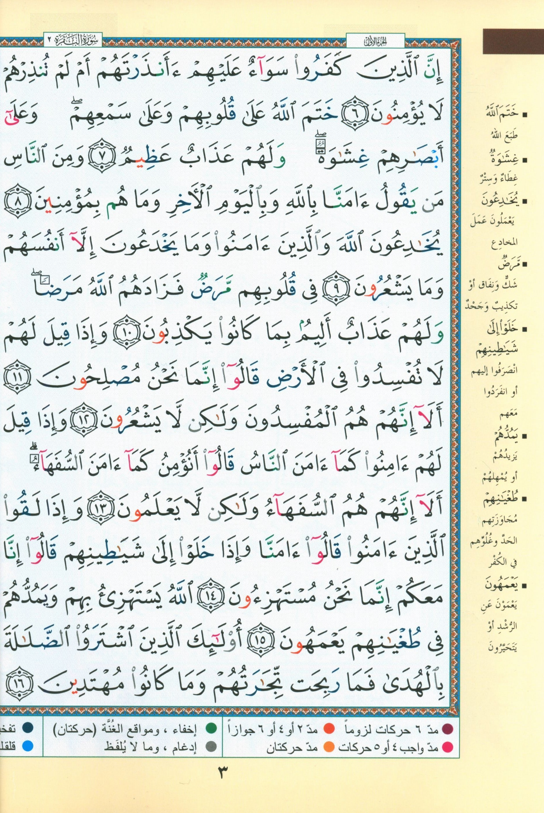 Tajweed Quran in 4 Parts 7 x 9