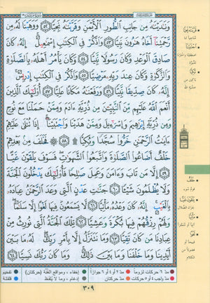 Tajweed Quran in 4 Parts 7 x 9