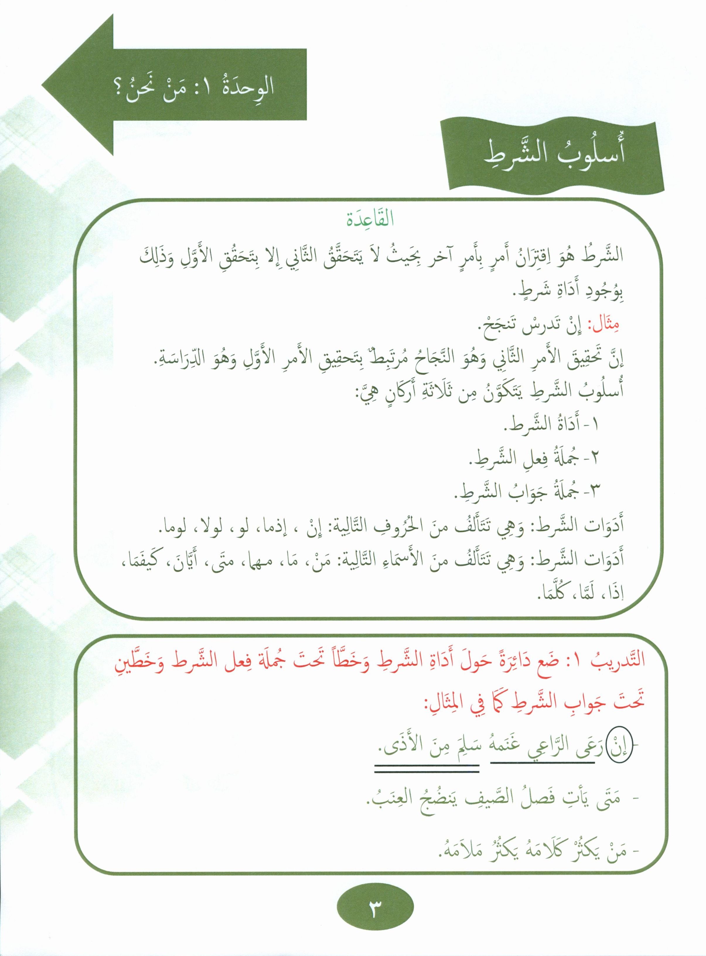 Our Language Is Our Pride Reading Level 8 لغتنا فخرنا